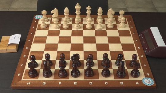 Bohumín 国际象棋学校并在波兰锦标赛中取得成功 - 视频存档 - 新闻